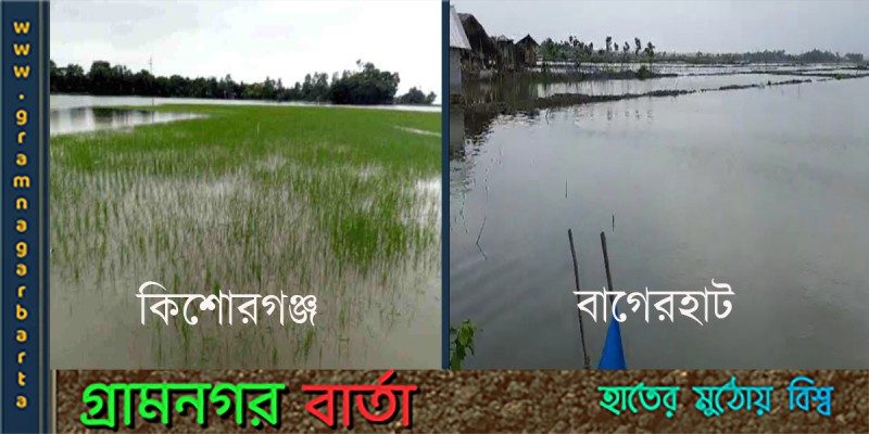 বৃষ্টি-জোয়ারে প্রায় কোটি টাকার আর্থিক ক্ষতি বৃষ্টি-জোয়ারে প্রায় কোটি টাকার আর্থিক ক্ষতি