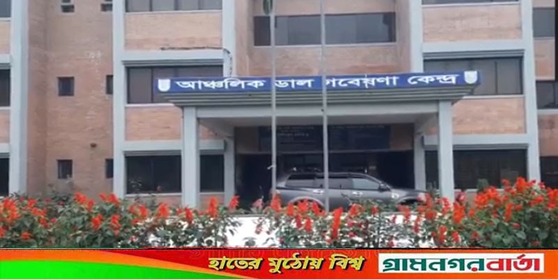 মাদারীপুর আঞ্চলিক ডাল গবেষণা কেন্দ্রের ৩ কর্মকর্তার বিরুদ্ধে অর্থ লোপাটের অভিযোগ মাদারীপুর আঞ্চলিক ডাল গবেষণা কেন্দ্রের ৩ কর্মকর্তার বিরুদ্ধে অর্থ লোপাটের অভিযোগ