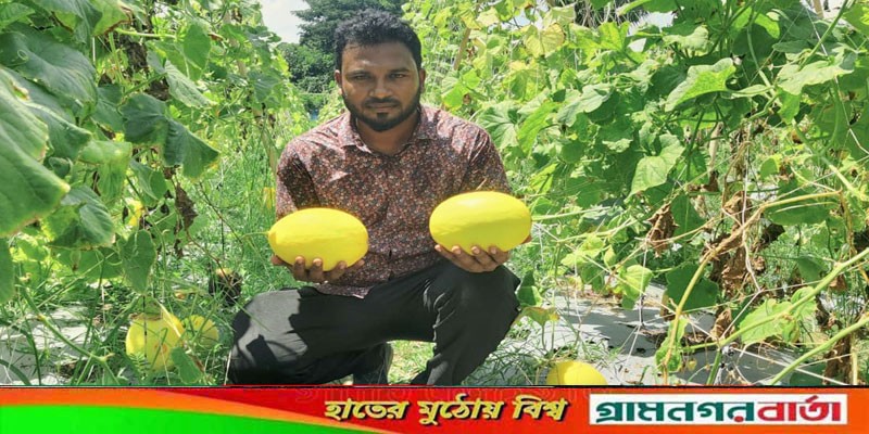 চাকরি ছেড়ে কৃষিকাজ, উদ্যোক্তা ফয়সালের বছরে আয় ১৩ লাখ চাকরি ছেড়ে কৃষিকাজ, উদ্যোক্তা ফয়সালের বছরে আয় ১৩ লাখ