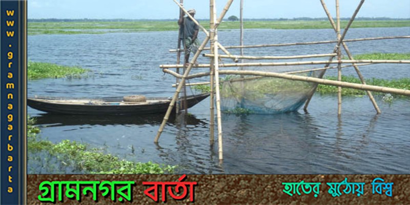 প্রশাসনের নজরদারির অভাবে জলজ প্রাণীর অস্তিত্ব হুমকির মুখে প্রশাসনের নজরদারির অভাবে জলজ প্রাণীর অস্তিত্ব হুমকির মুখে