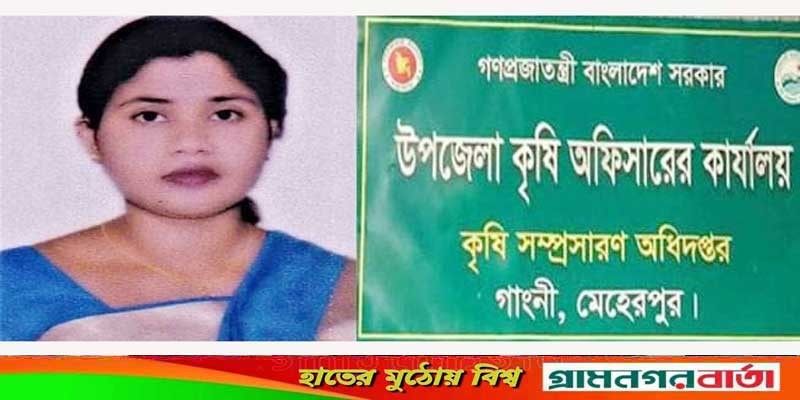 গাংনী কৃষি কর্মকর্তা লাভলী খাতুনের অনিয়ম দূর্নীতির তদন্ত শুরু গাংনী কৃষি কর্মকর্তা লাভলী খাতুনের অনিয়ম দূর্নীতির তদন্ত শুরু