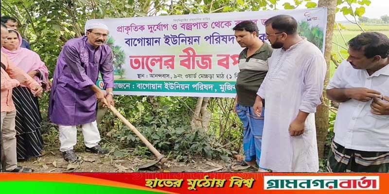 মেহেরপুরে দুই হাজার তালের বীজ বপন মেহেরপুরে দুই হাজার তালের বীজ বপন