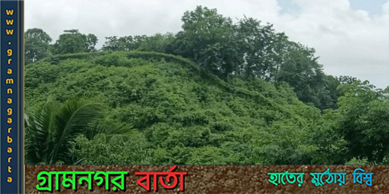 তুমব্রুর পর এবার উখিয়া সীমান্তে গোলাগুলির শব্দ তুমব্রুর পর এবার উখিয়া সীমান্তে গোলাগুলির শব্দ
