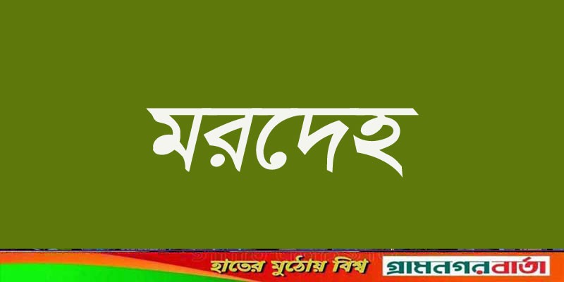 খালে মিললো মৎস্য ঘের কর্মচারীর মরদেহ খালে মিললো মৎস্য ঘের কর্মচারীর মরদেহ