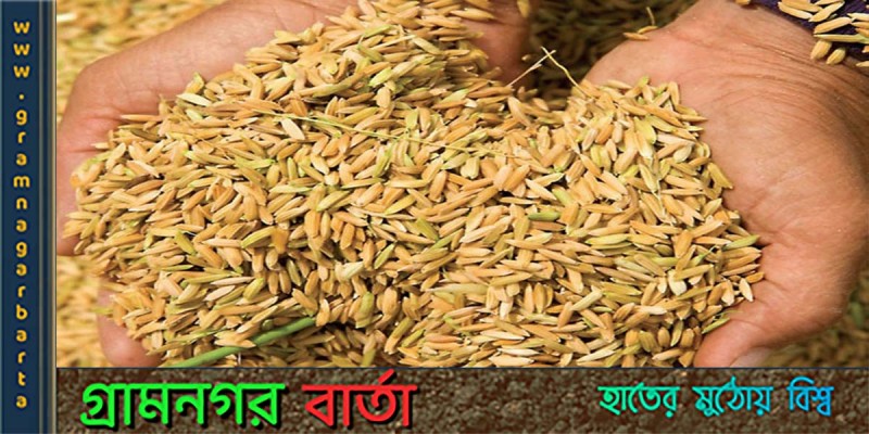 বাজার মনিটরিংয়ের জোর দাবি জানিয়েছেন নওগাঁর চাষীরা বাজার মনিটরিংয়ের জোর দাবি জানিয়েছেন নওগাঁর চাষীরা