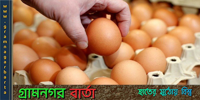 ডিম আমদানি করা উচিত হবে নাঃ কৃষিমন্ত্রী ডিম আমদানি করা উচিত হবে নাঃ কৃষিমন্ত্রী