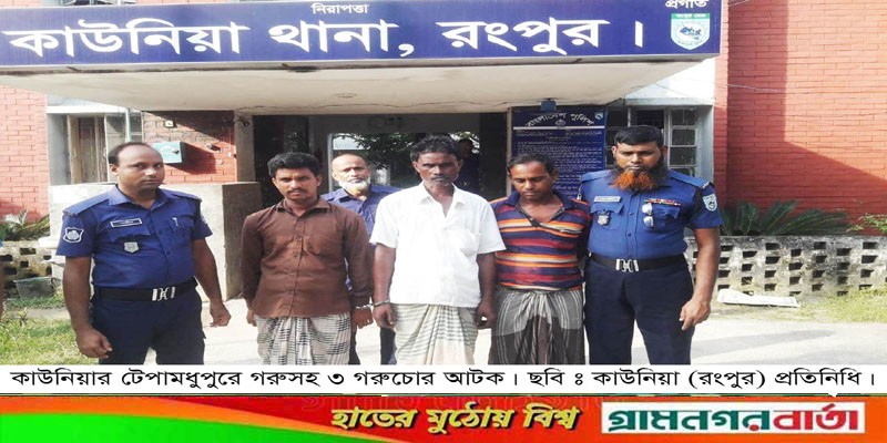 কাউনিয়ায় টেপামধুপুরে গরুসহ তিন গরু চোর আটক কাউনিয়ায় টেপামধুপুরে গরুসহ তিন গরু চোর আটক