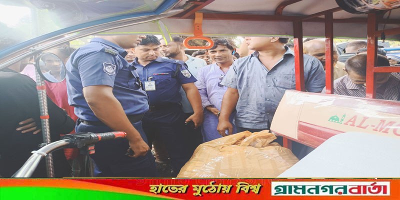 কাউনিয়ায় ৭ কেজি গাঁজাসহ পিতা-পুত্র গ্রেফতার কাউনিয়ায় ৭ কেজি গাঁজাসহ পিতা-পুত্র গ্রেফতার