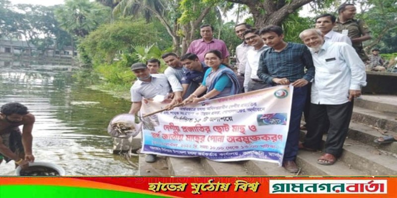 কালকিনিতে মাছের পোনা অবমুক্ত কালকিনিতে মাছের পোনা অবমুক্ত