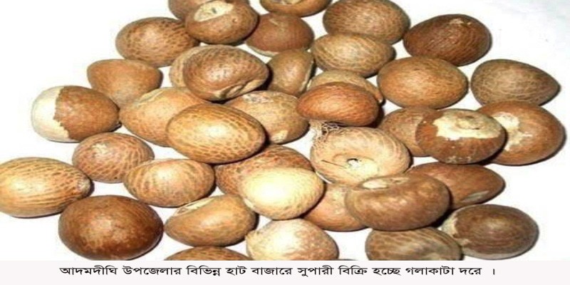 গলাকাটা দামে সুপারি বিক্রি ! গলাকাটা দামে সুপারি বিক্রি !