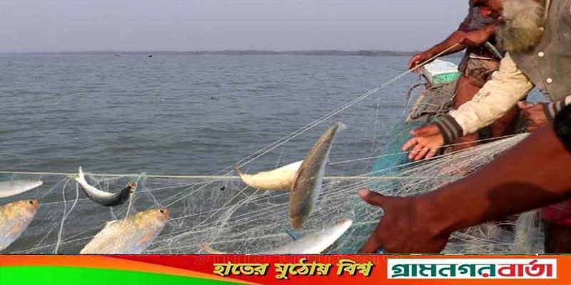 মধ্যরাত হতে ইলিশ ধরা বন্ধ মধ্যরাত হতে ইলিশ ধরা বন্ধ