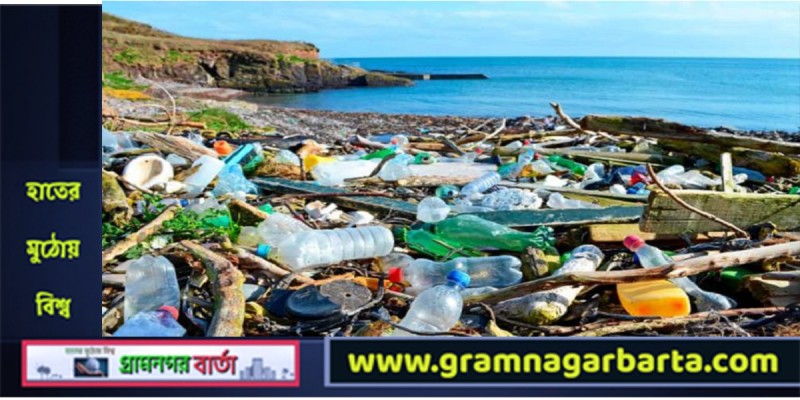 প্রাণীকূল ধ্বংসের মূলে প্লাস্টিক প্রাণীকূল ধ্বংসের মূলে প্লাস্টিক