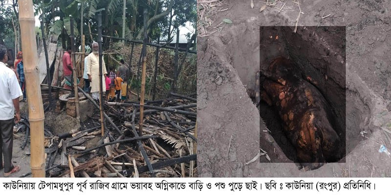কাউনিয়ায় টেপামধুপুরে অগ্নিকান্ডে বাড়ি ও পশু পুড়ে ছাই কাউনিয়ায় টেপামধুপুরে অগ্নিকান্ডে বাড়ি ও পশু পুড়ে ছাই