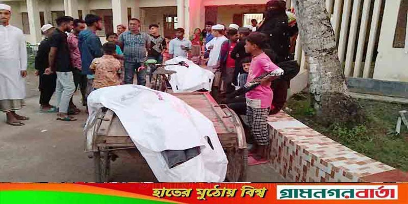 মোল্লাহাটে বিয়ের অনুষ্ঠান থেকে ফেরার পথে দুই ভাই নিহত মোল্লাহাটে বিয়ের অনুষ্ঠান থেকে ফেরার পথে দুই ভাই নিহত
