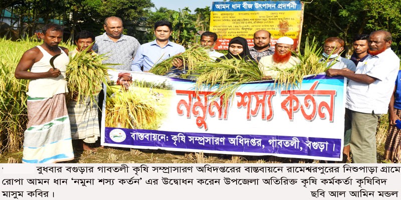 গাবতলীতে রোপা আমন ধান কর্তনের উদ্বোধন গাবতলীতে রোপা আমন ধান কর্তনের উদ্বোধন
