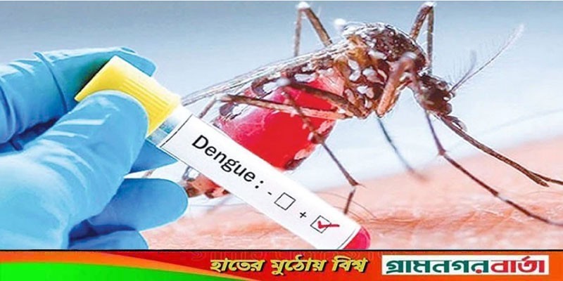 ডেঙ্গু থামছেই না, আজও প্রাণ ঝড়ে গেল পাঁচজনের ডেঙ্গু থামছেই না, আজও প্রাণ ঝড়ে গেল পাঁচজনের