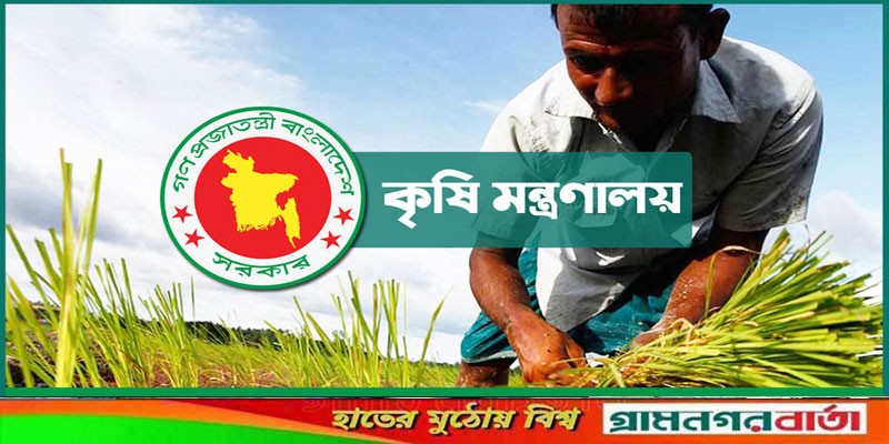 পতিত জমিতে আবাদের উদ্যোগ নিতে তিন মন্ত্রণালয়ে কৃষিমন্ত্রীর চিঠি পতিত জমিতে আবাদের উদ্যোগ নিতে তিন মন্ত্রণালয়ে কৃষিমন্ত্রীর চিঠি