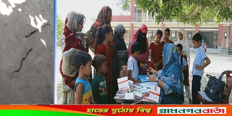 সিরাজদিখানে ক্লিনিকে বিষধর সাপ আতঙ্ক ! সিরাজদিখানে ক্লিনিকে বিষধর সাপ আতঙ্ক !