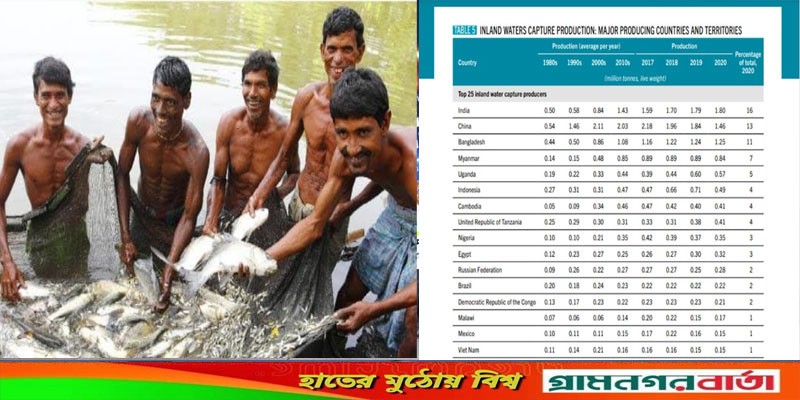 বিশ্বে চাষের মাছে তৃতীয় বাংলাদেশ বিশ্বে চাষের মাছে তৃতীয় বাংলাদেশ
