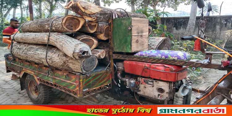 বাগেরহাটে বন বিভাগের কর্তনকৃত গাছের লগ জব্দ : থানায় অভিযোগ দায়ের বাগেরহাটে বন বিভাগের কর্তনকৃত গাছের লগ জব্দ : থানায় অভিযোগ দায়ের