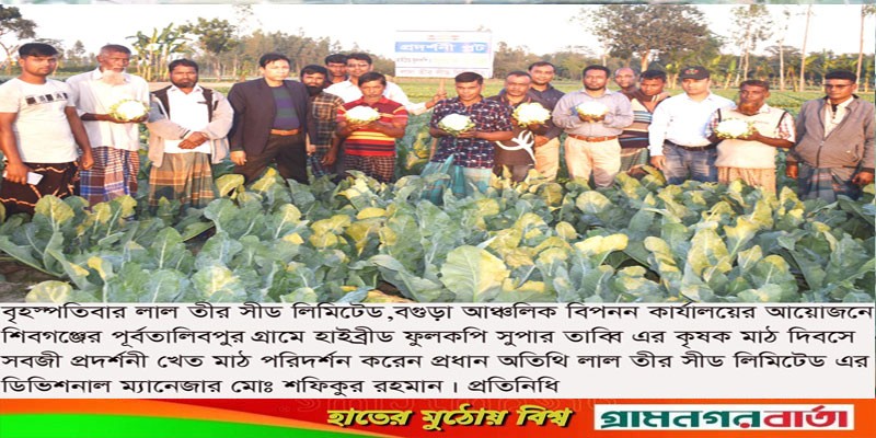 বগুড়ায় সবজি প্রদর্শনী ও কৃষক মাঠ দিবস বগুড়ায় সবজি প্রদর্শনী ও কৃষক মাঠ দিবস