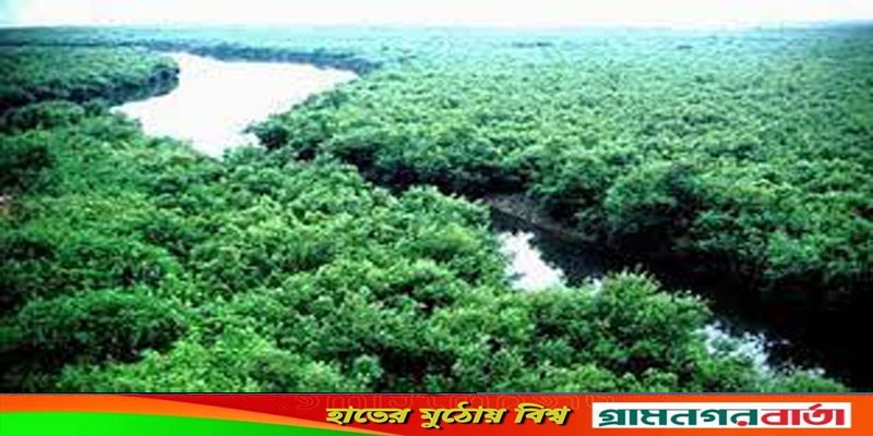 সুন্দরবন ভ্রমণে ভোগান্তি বাঁকে বাঁকে সুন্দরবন ভ্রমণে ভোগান্তি বাঁকে বাঁকে