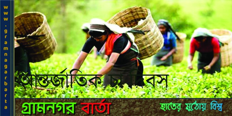 আজ আন্তর্জাতিক চা দিবস আজ আন্তর্জাতিক চা দিবস