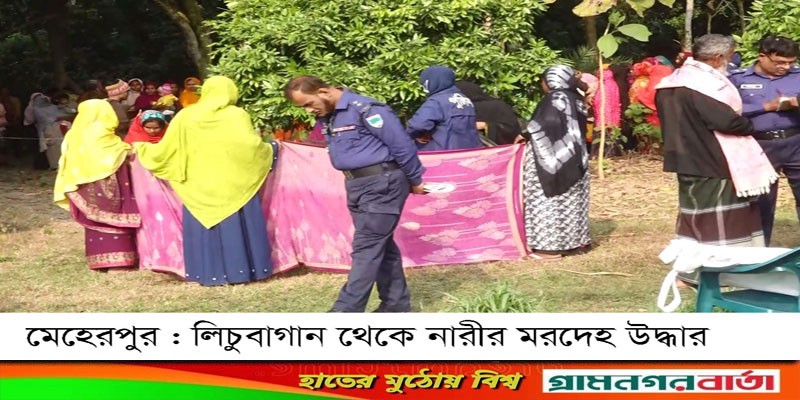 মেহেরপুরে লিচুবাগান থেকে নারীর মরদেহ উদ্ধার মেহেরপুরে লিচুবাগান থেকে নারীর মরদেহ উদ্ধার