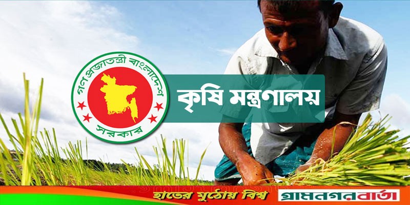 বোরোর উৎপাদন বাড়ানোর জন্য ১৭০ কোটি টাকার প্রণোদনা বোরোর উৎপাদন বাড়ানোর জন্য ১৭০ কোটি টাকার প্রণোদনা