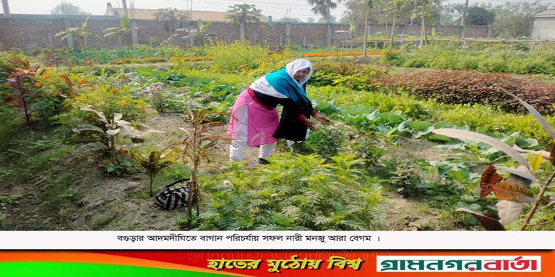 আদমদীঘিতে দৃষ্টিনন্দন সবজি ফল ও ফুলের বাগান গড়ে তুলেছে মনজু আরা বেগম আদমদীঘিতে দৃষ্টিনন্দন সবজি ফল ও ফুলের বাগান গড়ে তুলেছে মনজু আরা বেগম