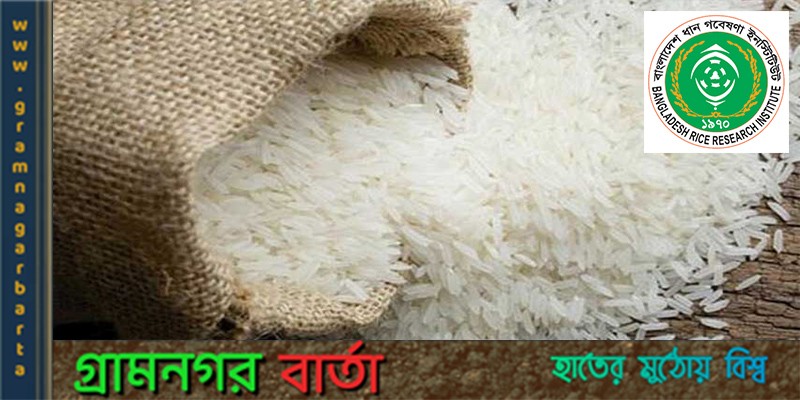 আগামী জুন পর্যন্ত সংকটের কোনো আশঙ্কা নেই আগামী জুন পর্যন্ত সংকটের কোনো আশঙ্কা নেই