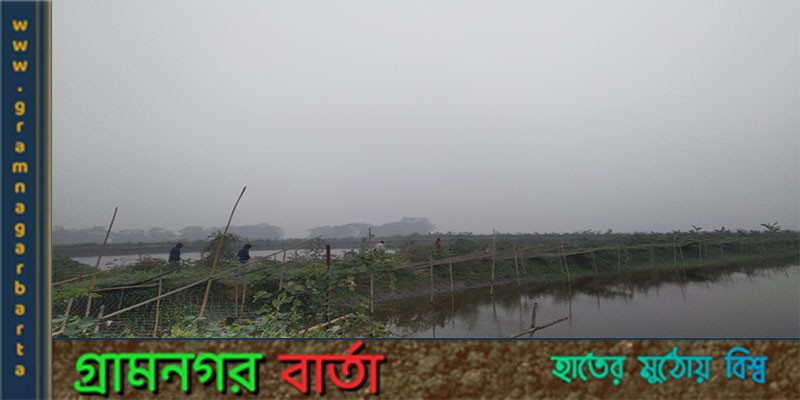 ঘন কুয়াশায় কনকনে শীতের ঠান্ডায় কাঁপছে মাদারীপুর ঘন কুয়াশায় কনকনে শীতের ঠান্ডায় কাঁপছে মাদারীপুর
