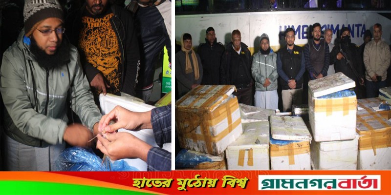 প্লাস্টিকের জেলি মেশানো ৩০ মণ চিংড়ি জব্দ প্লাস্টিকের জেলি মেশানো ৩০ মণ চিংড়ি জব্দ