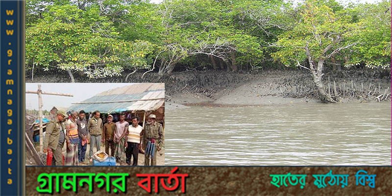 সুন্দরবন থেকে হরিণের মাংসসহ ৪ জেলে আটক সুন্দরবন থেকে হরিণের মাংসসহ ৪ জেলে আটক