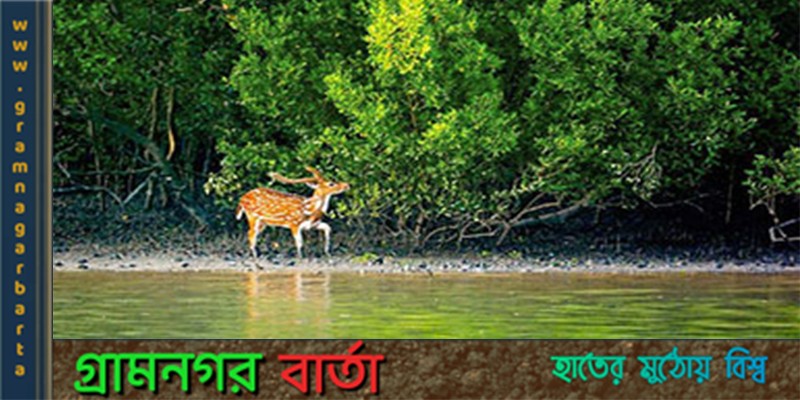 সুন্দরবনে অবৈধ কাজে বাধা দেওয়ায় বন বিভাগের বিএম এর বিরুদ্ধে মিথ্যা অভিযোগ সুন্দরবনে অবৈধ কাজে বাধা দেওয়ায় বন বিভাগের বিএম এর বিরুদ্ধে মিথ্যা অভিযোগ