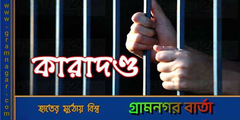 ছয় হাজার ইয়াবাসহ গ্রেফতার রোহিঙ্গা নারীর যাবজ্জীবন কারাদণ্ড ছয় হাজার ইয়াবাসহ গ্রেফতার রোহিঙ্গা নারীর যাবজ্জীবন কারাদণ্ড