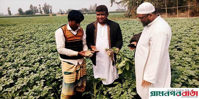 তিস্তার বালু চরে নো স্প্রে, নো টেনশন এ্যালুয়েট তিস্তার বালু চরে নো স্প্রে, নো টেনশন এ্যালুয়েট