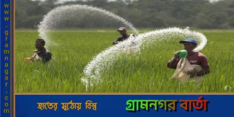 সরকারের ৬০ হাজার টন সার কেনার সিদ্ধান্ত সরকারের ৬০ হাজার টন সার কেনার সিদ্ধান্ত