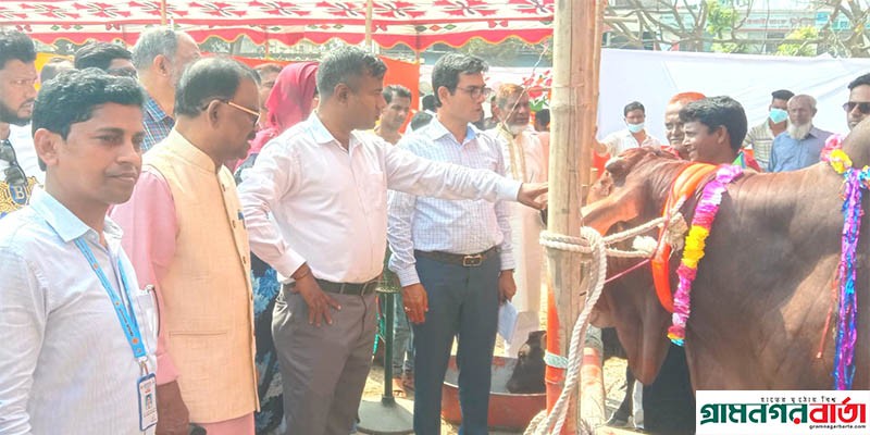 লৌহজংয়ে প্রাণিসম্পদ প্রদর্শনী অনুষ্ঠিত লৌহজংয়ে প্রাণিসম্পদ প্রদর্শনী অনুষ্ঠিত