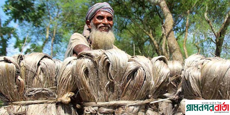 আজ জাতীয় পাট দিবস আজ জাতীয় পাট দিবস