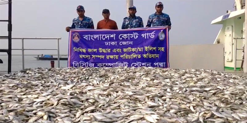 পদ্মা সেতুর কাছে অভিযানে ৬ মেট্রিক টন জাটকা জব্দ পদ্মা সেতুর কাছে অভিযানে ৬ মেট্রিক টন জাটকা জব্দ
