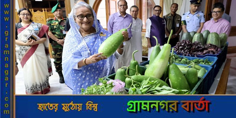 টুঙ্গিপাড়ায় পতিত জমিতে চাষ, সবজি এলো গণভবনে টুঙ্গিপাড়ায় পতিত জমিতে চাষ, সবজি এলো গণভবনে