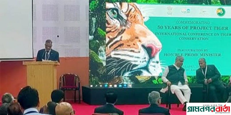 আমরা ইন্টারন্যাশনাল বিগ ক্যাটস অ্যালায়েন্স গঠনে নীতিগতভাবে সমর্থন করি- মো. শাহাব উদ্দিন আমরা ইন্টারন্যাশনাল বিগ ক্যাটস অ্যালায়েন্স গঠনে নীতিগতভাবে সমর্থন করি- মো. শাহাব উদ্দিন