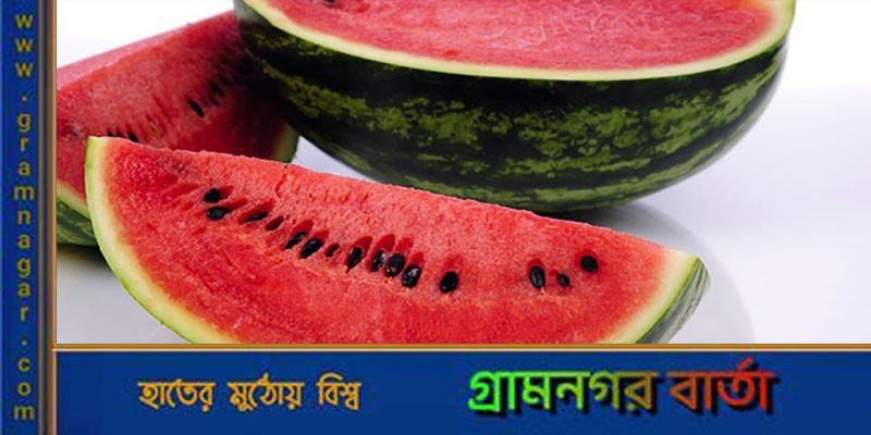 তরমুজের দাম প্রতিদিনই বাড়ছে তরমুজের দাম প্রতিদিনই বাড়ছে