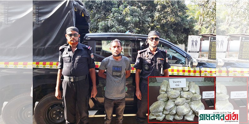 আদমদীঘিতে র্যাবের অভিযানে বিপুল পরিমান গাঁজা উদ্ধার আদমদীঘিতে র্যাবের অভিযানে বিপুল পরিমান গাঁজা উদ্ধার