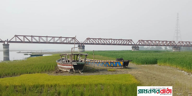 কাউনিয়ায় খরস্রোতা তিস্তায় পানি নেই শত শত নৌকার মাঝি ও মৎস্য জীবি বেকার কাউনিয়ায় খরস্রোতা তিস্তায় পানি নেই শত শত নৌকার মাঝি ও মৎস্য জীবি বেকার