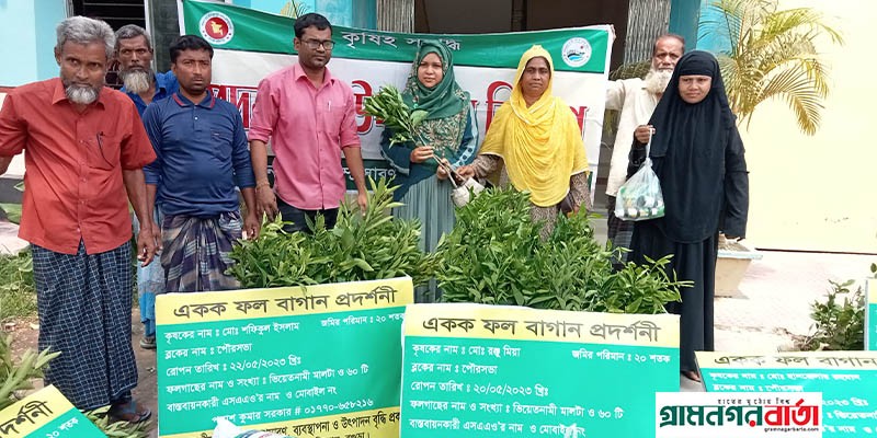 বগুড়ায় শিবগঞ্জ কৃষি প্রদর্শন উপকরণ বিতরণ বগুড়ায় শিবগঞ্জ কৃষি প্রদর্শন উপকরণ বিতরণ