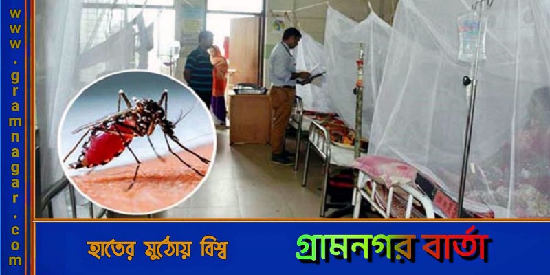 ডেঙ্গুতে ঢাকায় আরও এক জনের মৃত্যু ডেঙ্গুতে ঢাকায় আরও এক জনের মৃত্যু