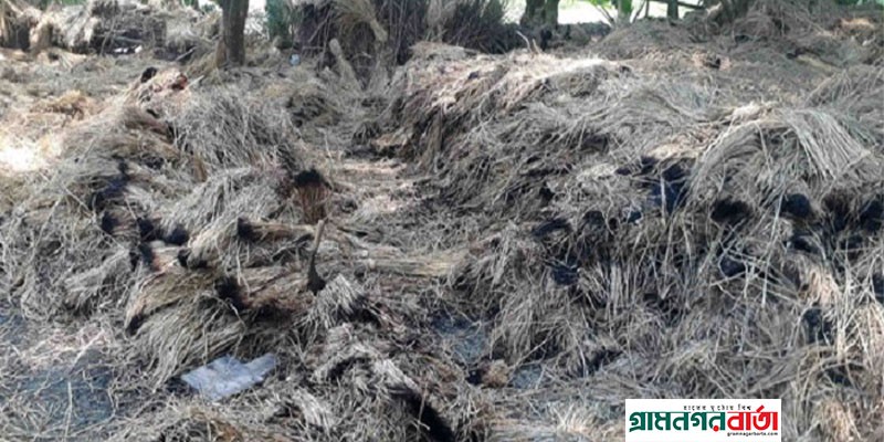 বগুড়ার হিন্দু পল্লীতে আবারও খড়ের পালায় আগুন বগুড়ার হিন্দু পল্লীতে আবারও খড়ের পালায় আগুন