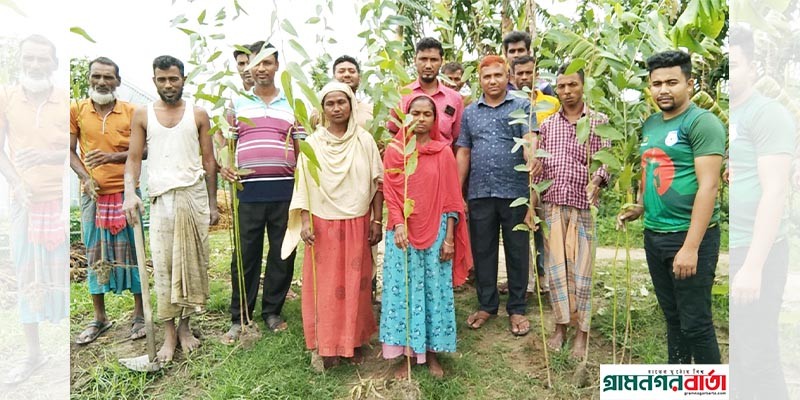 বগুড়ায় নর্থ বেঙ্গল উন্নয়ন সংস্থার উদ্যোগে বৃক্ষ রোপন বগুড়ায় নর্থ বেঙ্গল উন্নয়ন সংস্থার উদ্যোগে বৃক্ষ রোপন